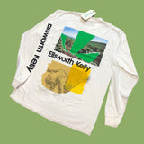 Back view of custom-designed long-sleeve T-shirt featuring bold green, yellow, and collage-style graphics with 'Ellsworth Kelly' printed along the sleeve. This unique piece blends abstract imagery and modern design elements for an artistic look